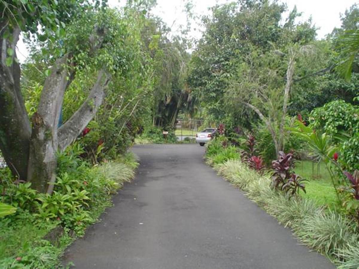 Hotel Villas Colibri Alajuela Exterior photo